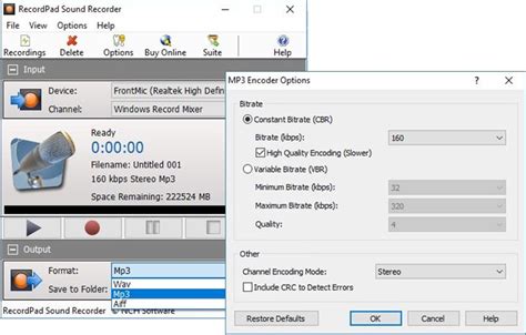 dsv to sav converter|convert ds2 to mp3 online.